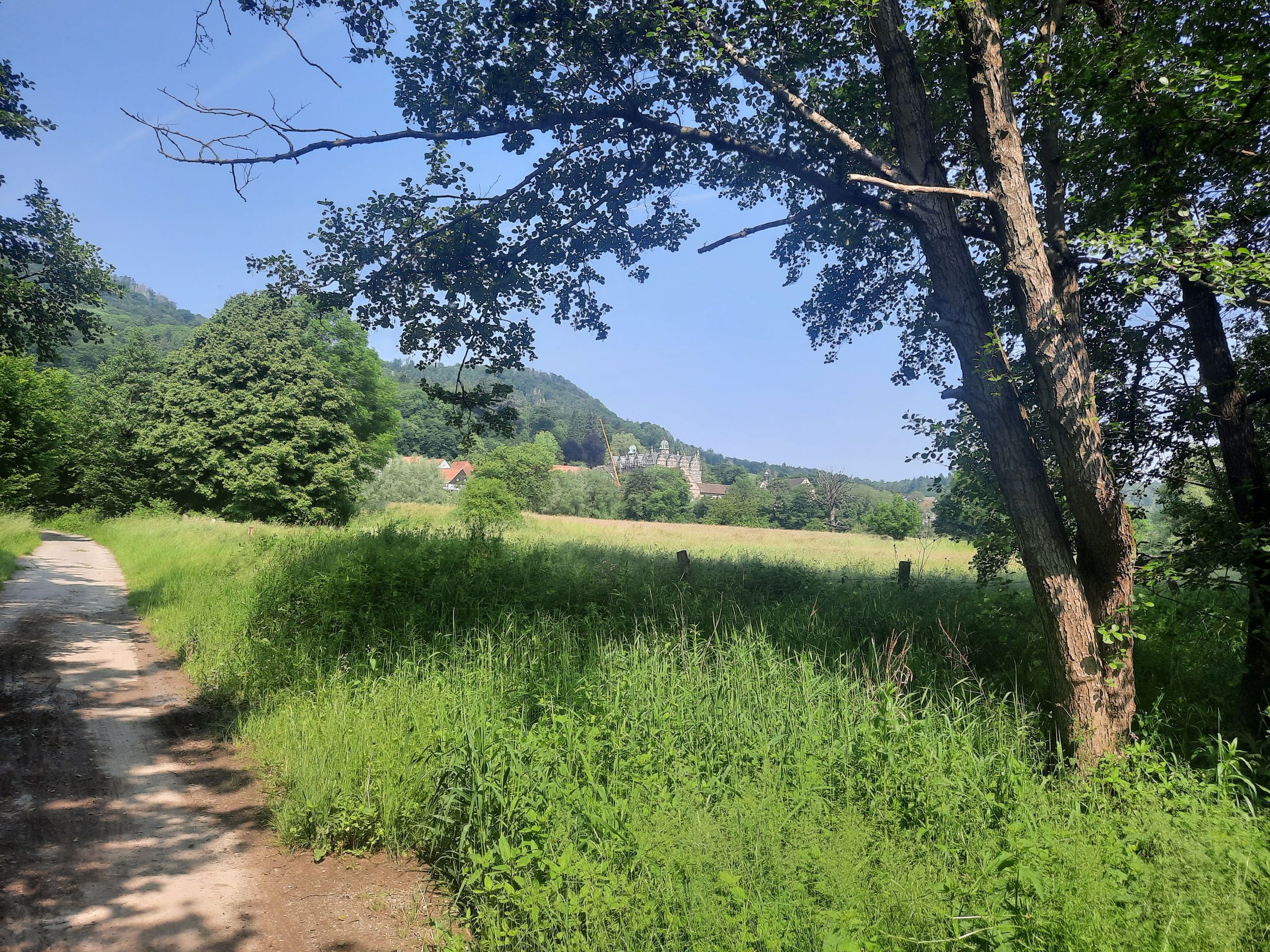Blick zur Hämelschenburg