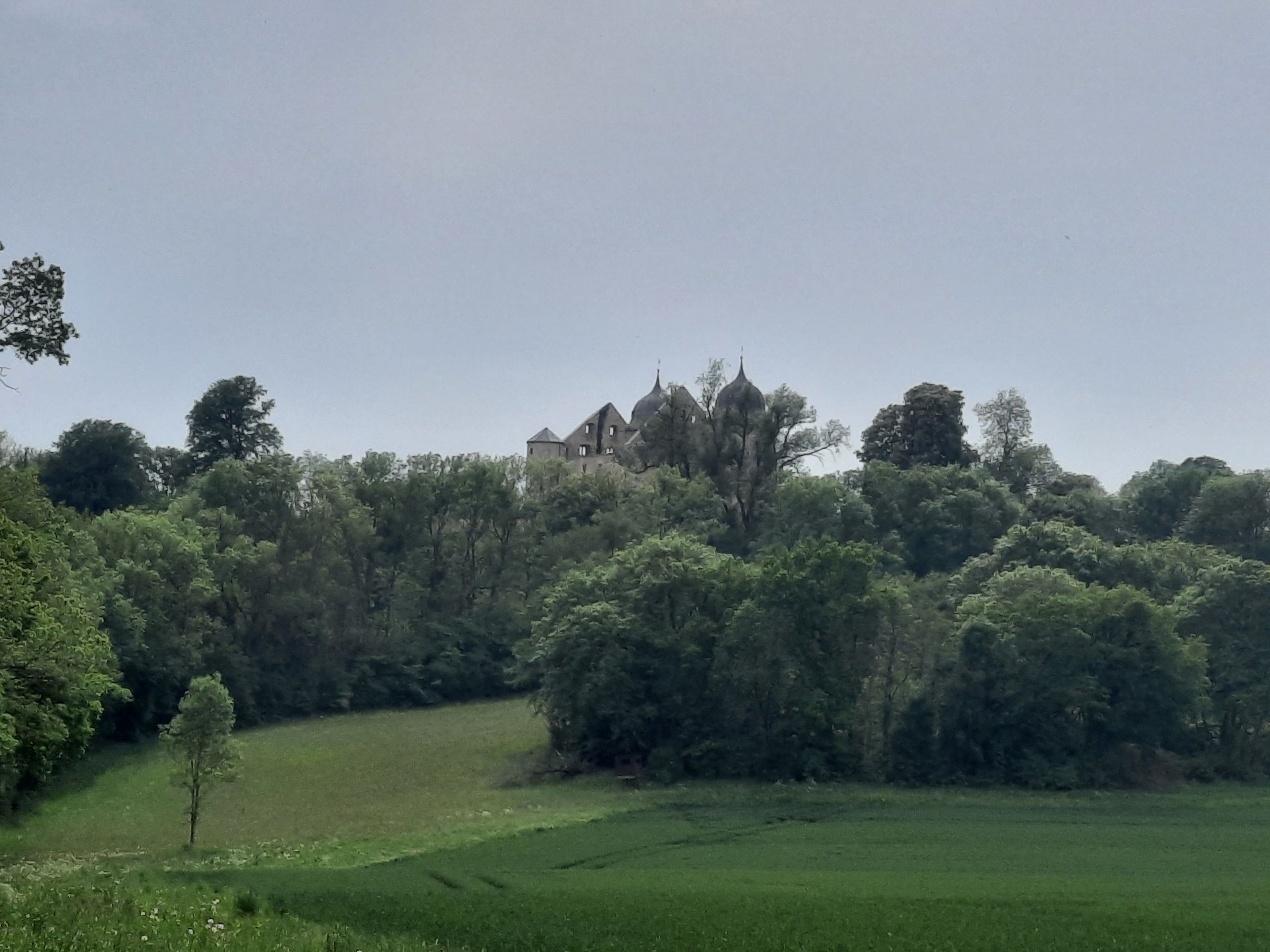 Blick auf das Dornröschenschloss